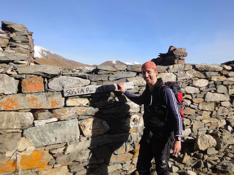 07 Mulo in sosta.JPG